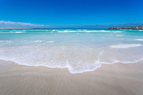 Coffin Bay Oysters, Ocean & Nature Tour - C Tourism 14