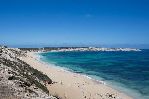 Coffin Bay Oysters, Ocean & Nature Tour - C Tourism 16