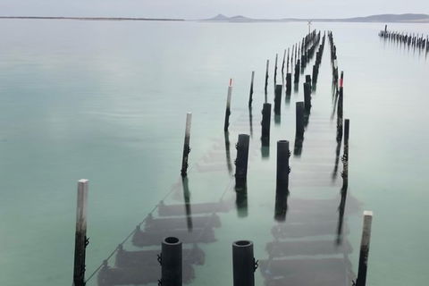 Coffin Bay Oysters, Ocean & Nature Tour - C Tourism 15