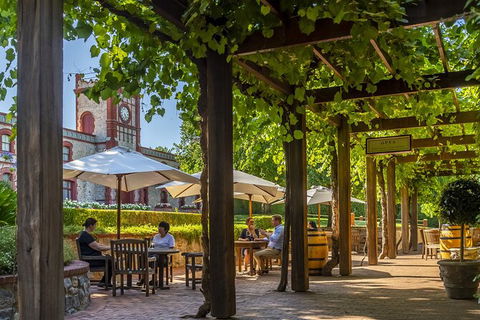 Yalumba Cooperage Tour - C Tourism 4