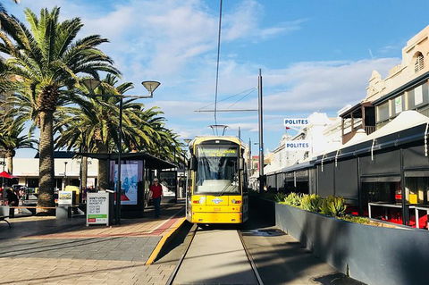 Adelaide Driving Tour - C Tourism 2