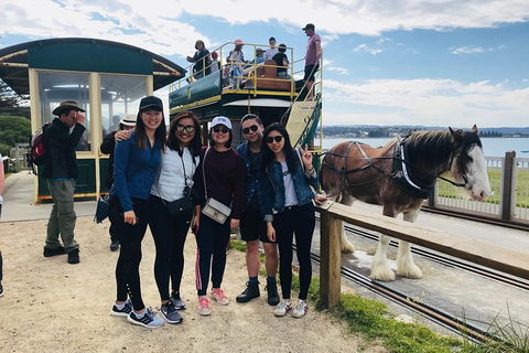 Adelaide Driving Tour - C Tourism 3