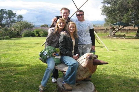 From Adelaide: McLaren Vale Intimate Winery 8 Hours Tour With Luxury Vehicle - C Tourism 1