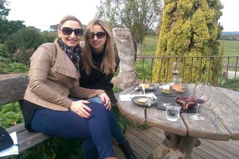 From Adelaide: McLaren Vale Intimate Winery 8 Hours Tour With Luxury Vehicle - C Tourism 3