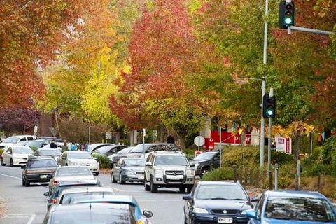 Adelaide Hills Full Day Winery Tour With Tastings - C Tourism 3