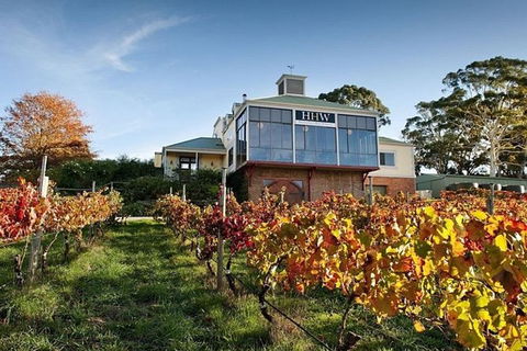 Adelaide Hills Full Day Winery Tour With Tastings - C Tourism 0