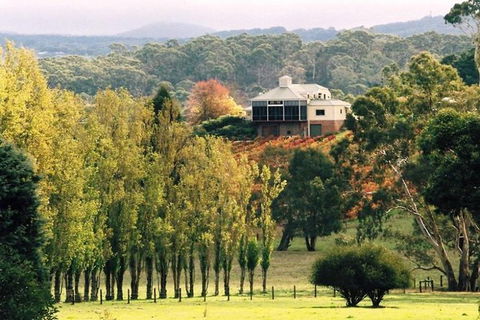 Adelaide Hills Full Day Winery Tour With Tastings - C Tourism 5