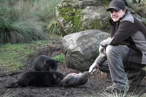 After Dark Tasmanian Devil Feeding Tour At Cradle Mountain - C Tourism 0