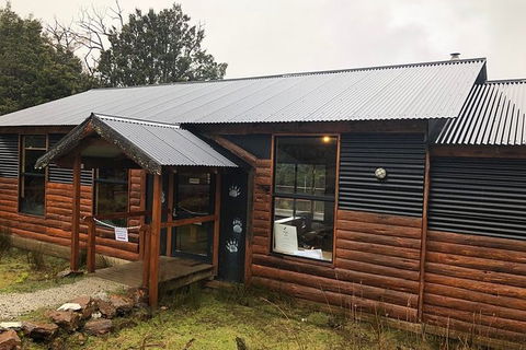 After Dark Tasmanian Devil Feeding Tour At Cradle Mountain - C Tourism 6