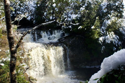 Cradle Mountain Park Explorer - C Tourism 1