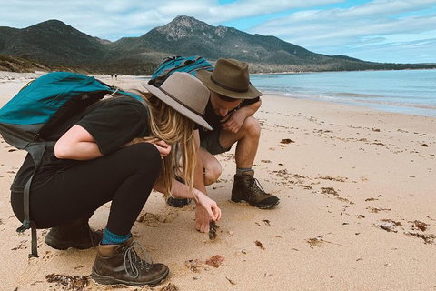 Freycinet Walking Tour - C Tourism 0