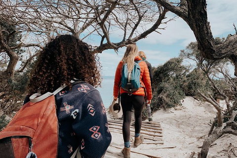 Freycinet Walking Tour - C Tourism 6