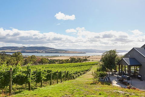 Launceston Wine & Sightseeing Tours - C Tourism 0