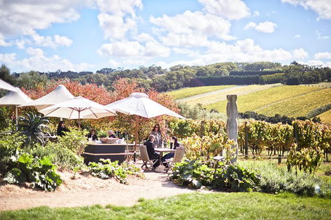 Mornington Peninsula Private Tour - C Tourism 0