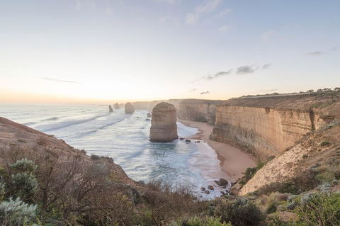 PRIVATE Great Ocean Road Tour And 12 Apostles With Wildlife Spotting - C Tourism 0