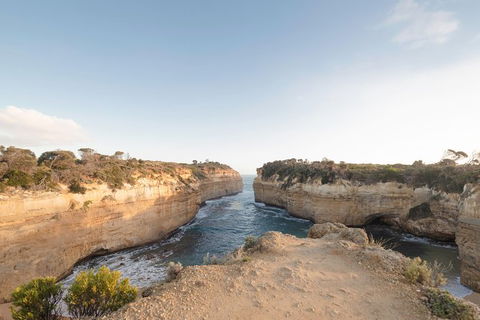 PRIVATE Great Ocean Road Tour And 12 Apostles With Wildlife Spotting - C Tourism 1