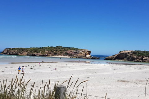 Warrnambool Wanderer Tour - C Tourism 1