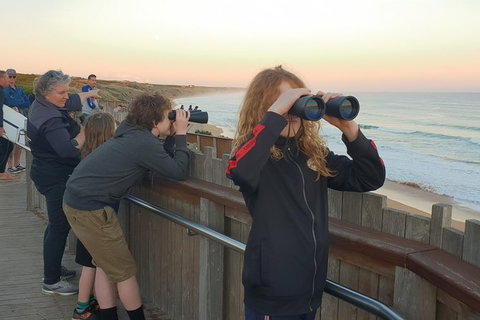 Warrnambool Wanderer Tour - C Tourism 2