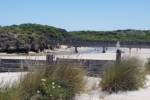 Warrnambool Wanderer Tour - C Tourism 3