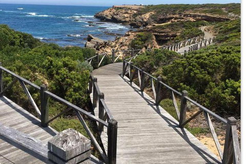 Warrnambool Wanderer Tour - C Tourism 0