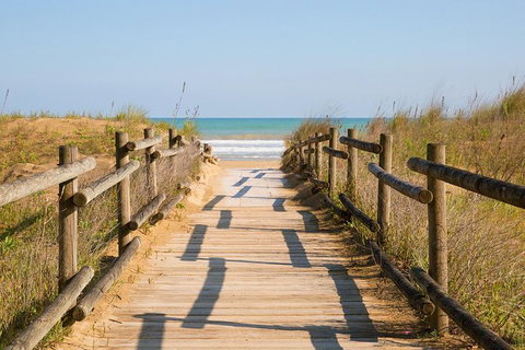Cruise Ship Shore Excursion - Private Great Ocean Road Full Day Tour (12 Hour) - C Tourism 0