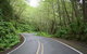 Cruise Ship Shore Excursion - Private Great Ocean Road Full Day Tour (12 Hour) - thumb 1