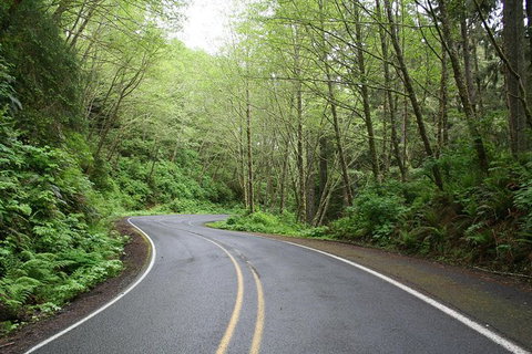 Cruise Ship Shore Excursion - Private Great Ocean Road Full Day Tour (12 Hour) - C Tourism 1