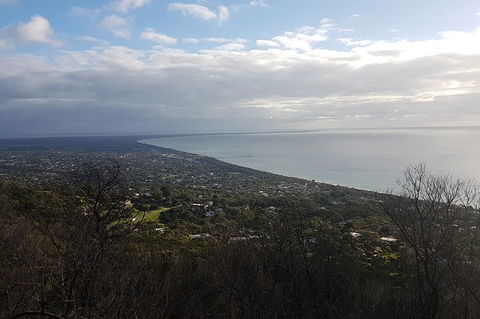 Mornington Peninsula Private Tour - C Tourism 1