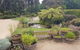 Mornington Peninsula Private Tour - thumb 5