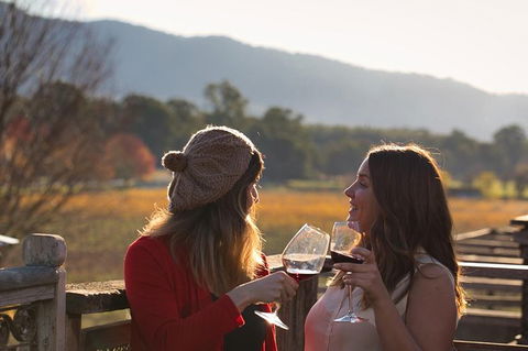 Feathertop Winery: Pedal And Picnic In The Vines - C Tourism 4