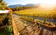 Feathertop Winery: Pedal And Picnic In The Vines - thumb 0