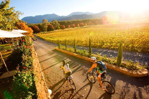 Feathertop Winery: Pedal And Picnic In The Vines - C Tourism 0