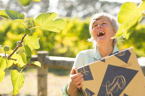 Mornington Peninsula 2-6 Guests Lunch And Inc Wine Tasting At Quealy Winemakers - C Tourism 4
