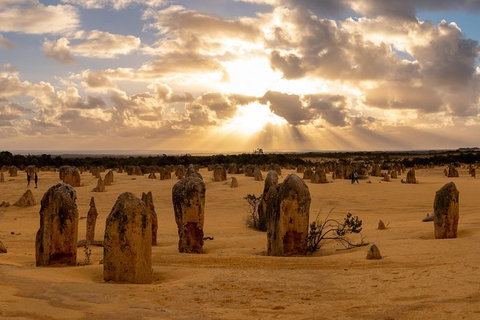 Pinnacle Desert Sunset And Night-time Stargazing Tour From Perth - C Tourism 4