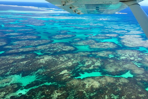 Shipwreck Special Full Day Tour Of The Abrolhos Islands - C Tourism 5