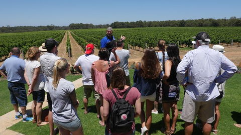 Margaret River Tour: The Full Bottle - C Tourism 0
