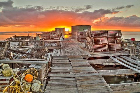Abrolhos Islands 3 Day Fishing Charter - C Tourism 5
