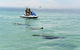 Perth Jet Ski Tour - thumb 3