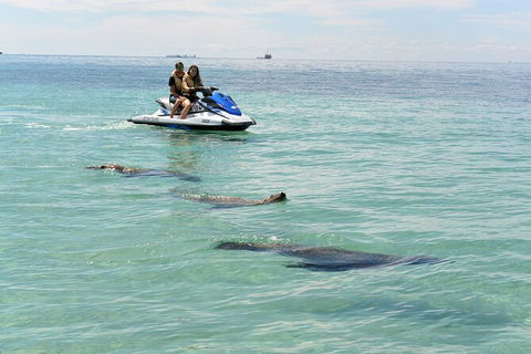 Perth Jet Ski Tour - C Tourism 3