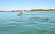 Perth Jet Ski Tour - thumb 0