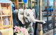 Photography Tour Of Historical Fremantle And Street Art. - thumb 6