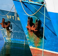 Photography Tour of Historical Fremantle and Street Art. - C Tourism