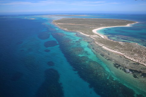 Pink Lake + Abrolhos Islands Scenic Flight - C Tourism 4