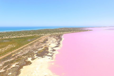Pink Lake + Abrolhos Islands Scenic Flight - C Tourism 0