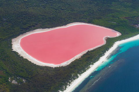 Pink Lake - Lake Hillier Esperance - C Tourism 0