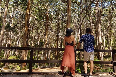 Private Tour Margaret River - C Tourism 7