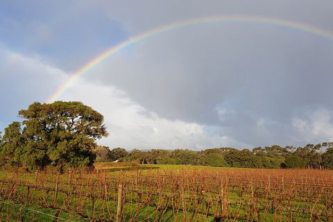 Private Tour Margaret River - C Tourism 5