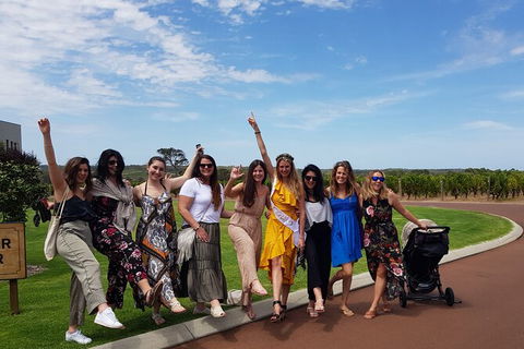 Private Tour Margaret River - C Tourism 11