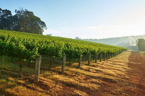 Botanical Gardens, Winery And Scenic Full Day Tour - C Tourism 2