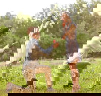 Romance Cruise  scenic Tour  beer tasting  3 course lunch  hamper - C Tourism